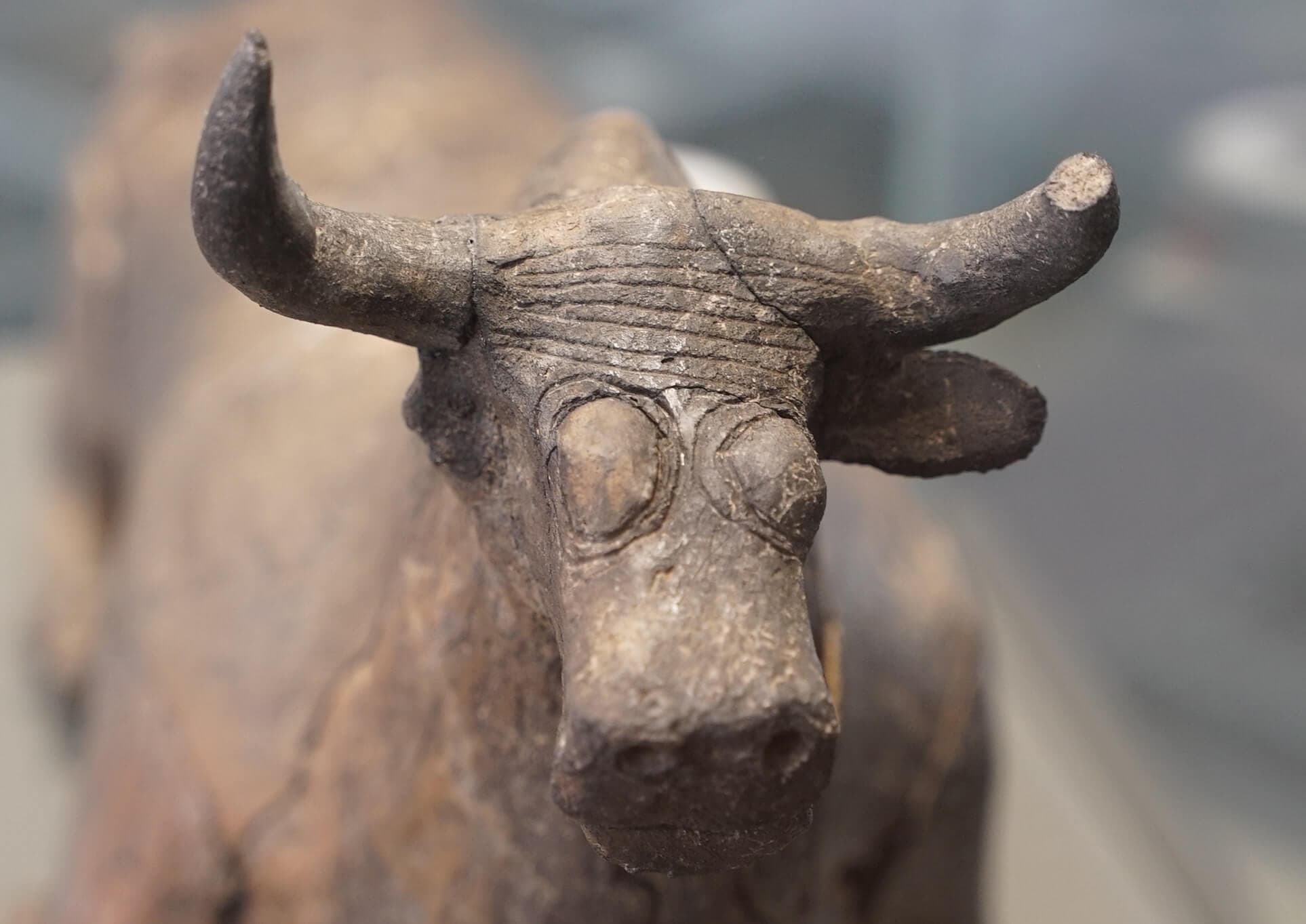Núcleo Museológico da Rua do Sembrano