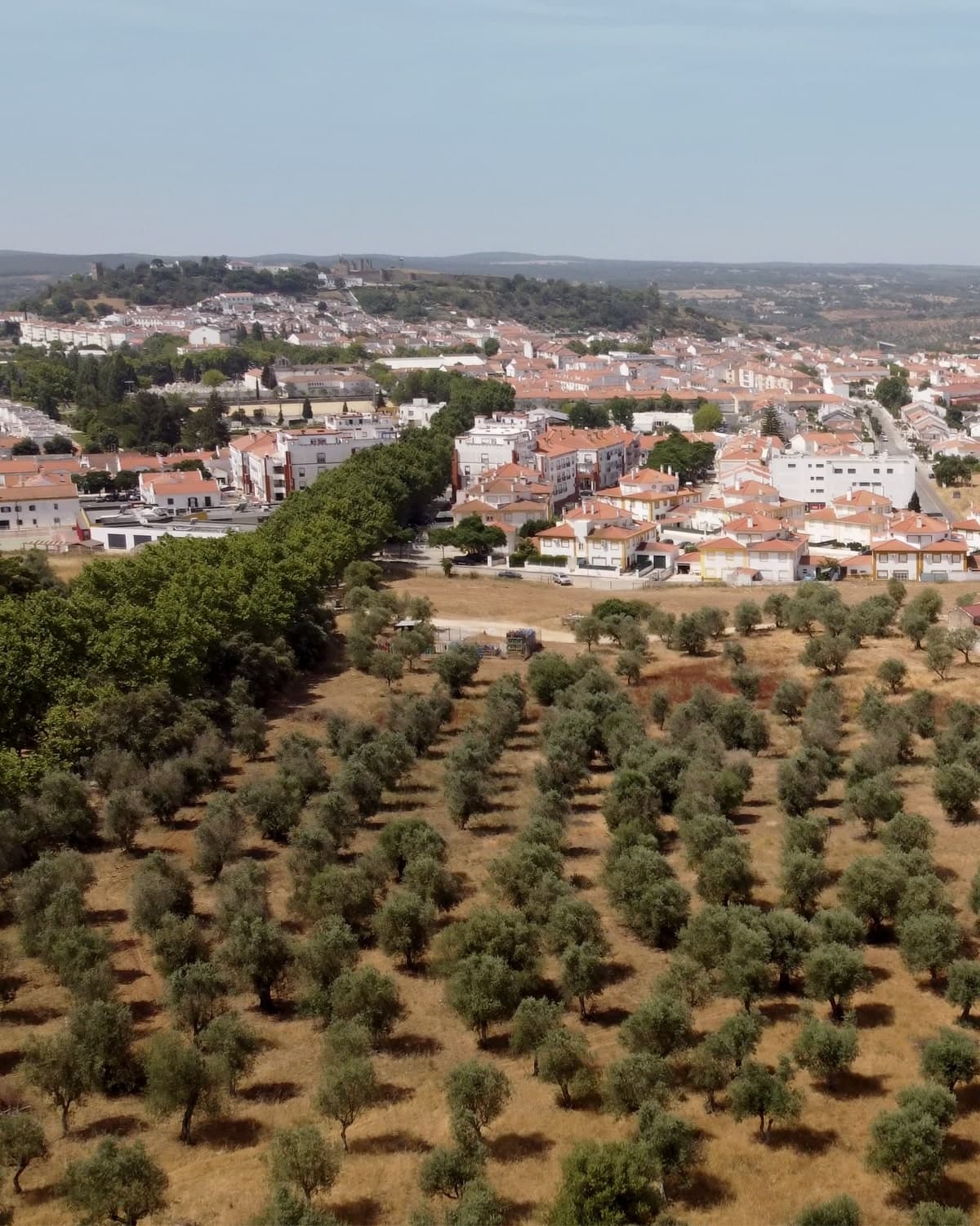 Ecopista de Montemor-o-Novo
