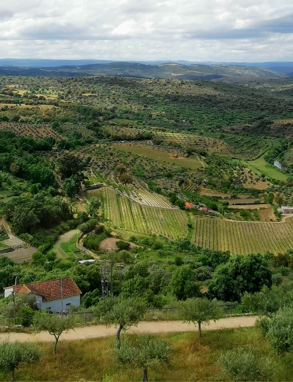 Castelo de Pinhel