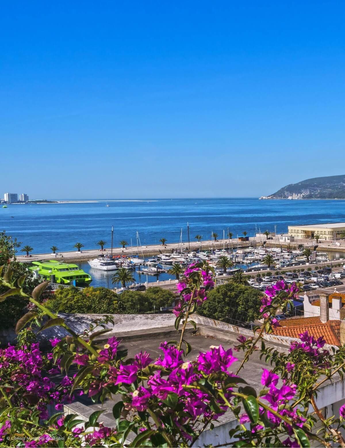 Cidade de Setúbal