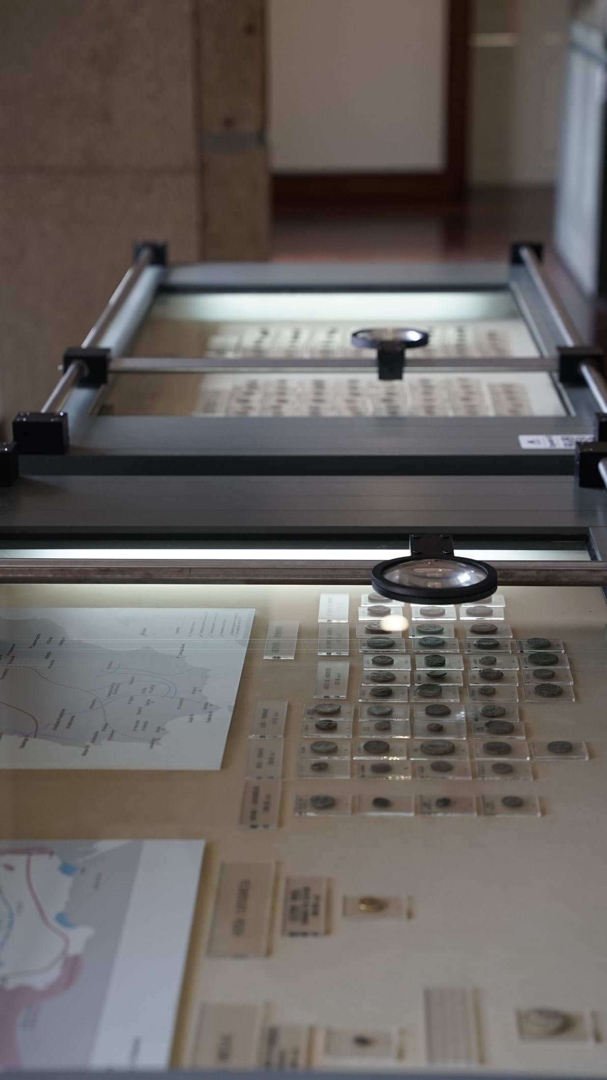 Museu de Arqueologia e Numismática